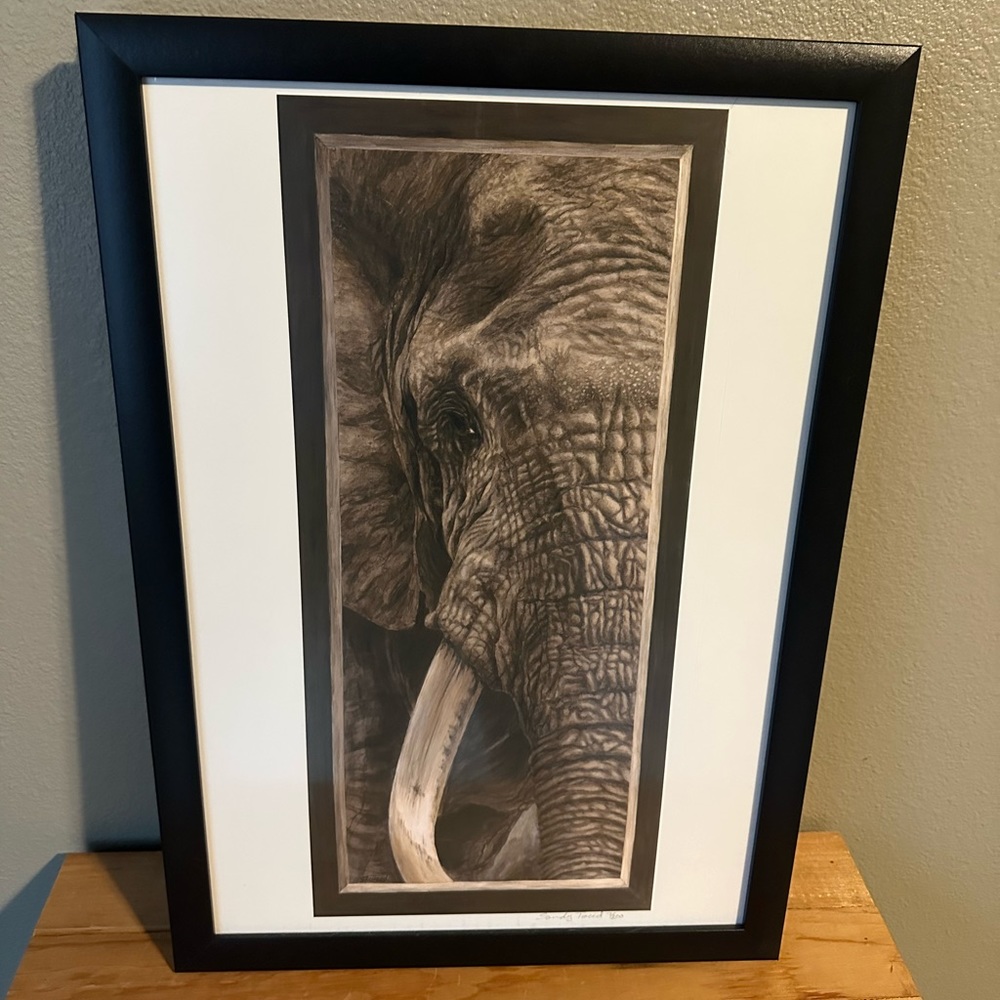 Elephant print with white matte